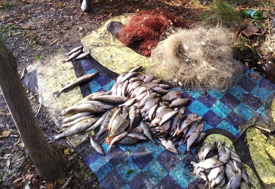 С начала октября у саратовских рыбаков изъяли 120 кг улова и 800 метров сетей